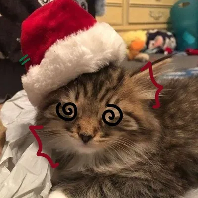 Christmas with your cat! :] {🌱honey!🎄}
