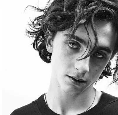 Timothee Chalamet
