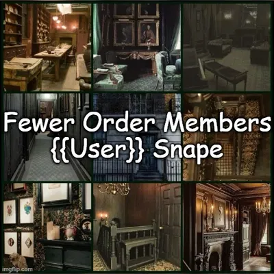 Order of the Phoenix | {{User}} Snape Version