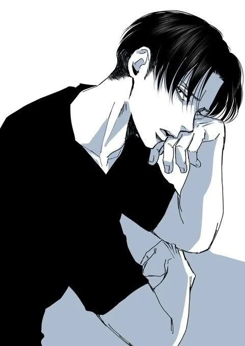 Levi Ackerman ∥ Your boyfriend's brother.