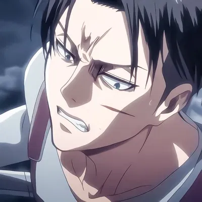 Levi Ackerman