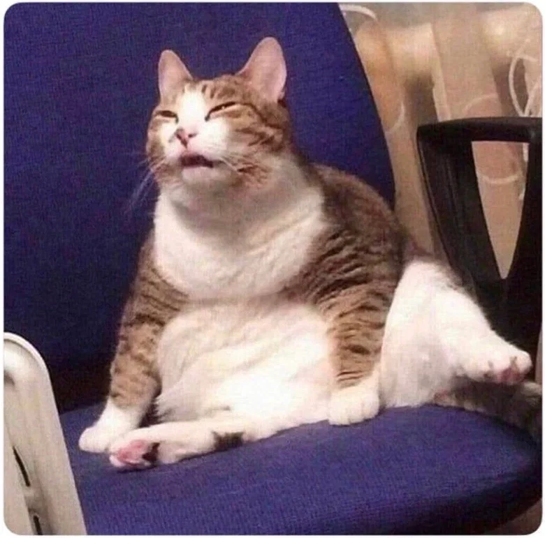 100+ FOLLOWERS!?