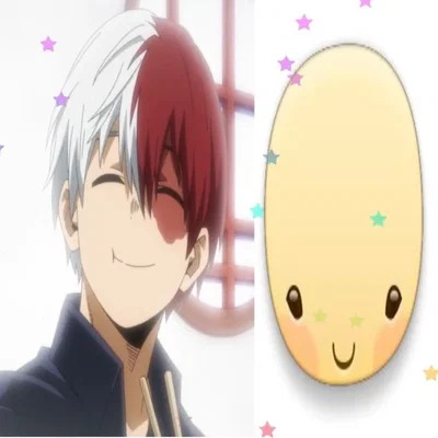 Shoto Todoroki!