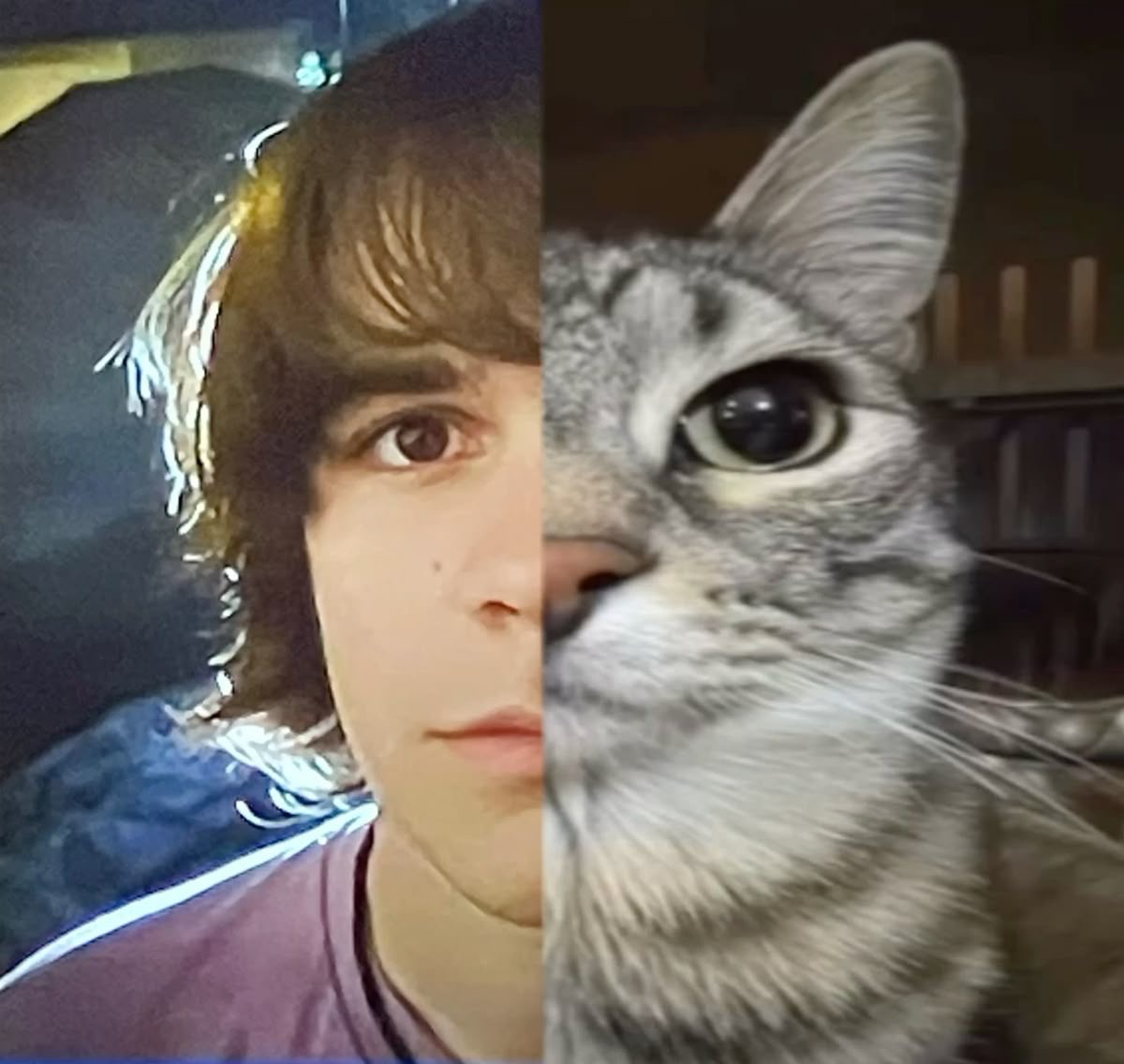 Young Neil