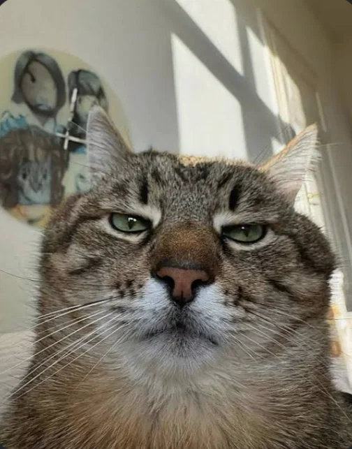 Bruh