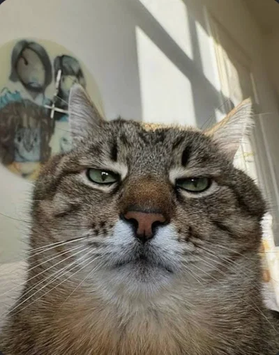 Bruh