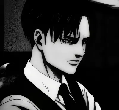 Levi Ackerman