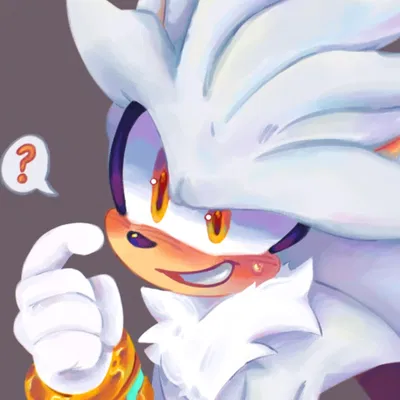  ̊+۶ৎ ̇⋆  OMEGA | Silver The Hedgehog