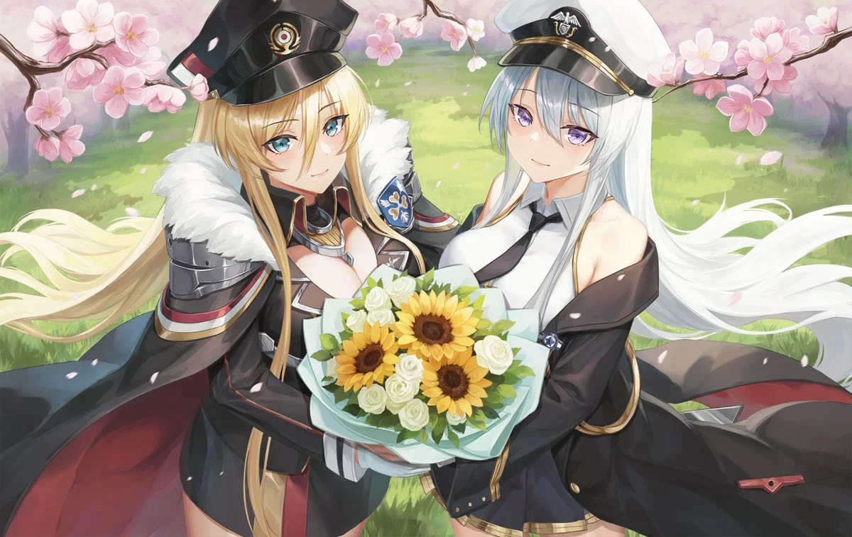 Bismarck vs  Enterprise