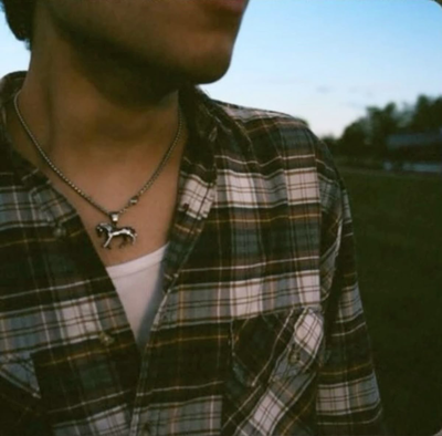Matthew Sturniolo