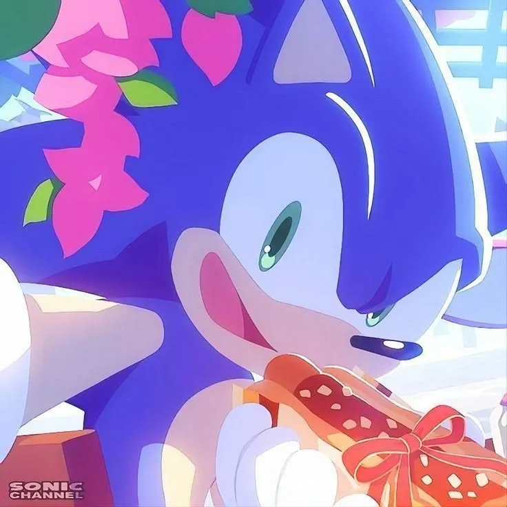 Sonic The Hedgehog