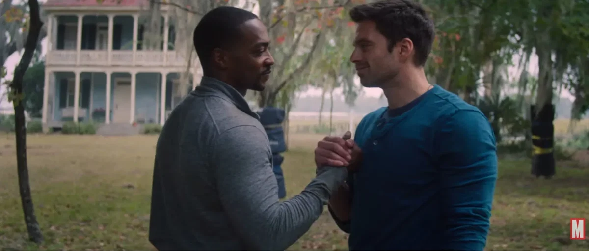 Bucky Barnes and Sam Wilson (TFATWS)