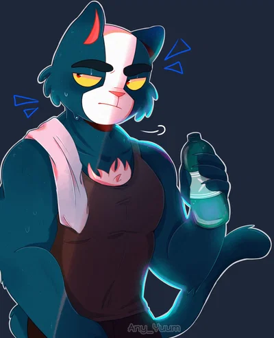Avocato