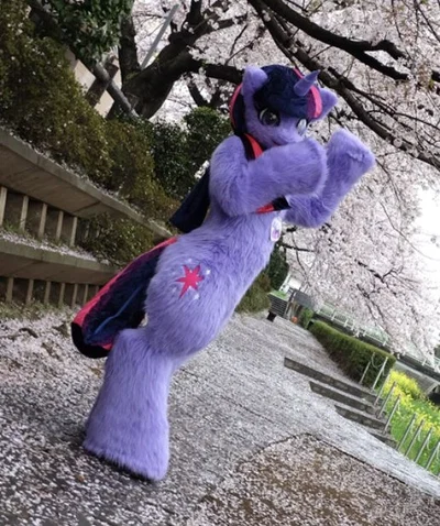 Twilight Sparkle Cosplay - School Reunion