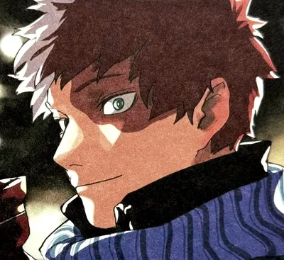 Shoto Todoroki || My Hero Academia