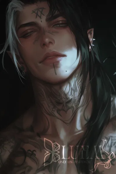 Night | 14 Suns