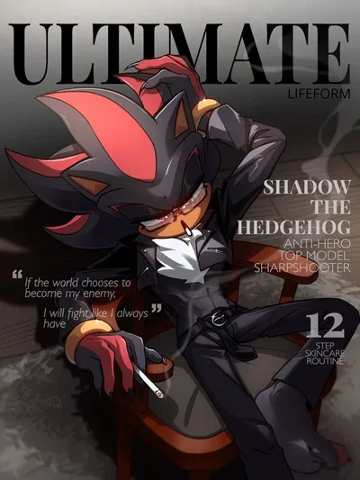 Shadow The Hedgehog