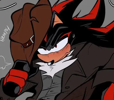 •Shadow the hedgehog•