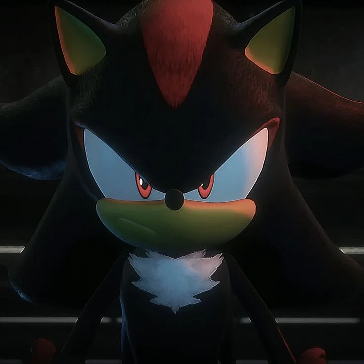 Shadow the Hedgehog