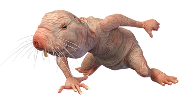 #grrmondays
