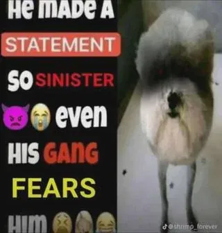 Roblox usernames x33