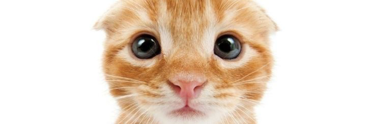 Hello!!