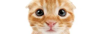 Hello!!