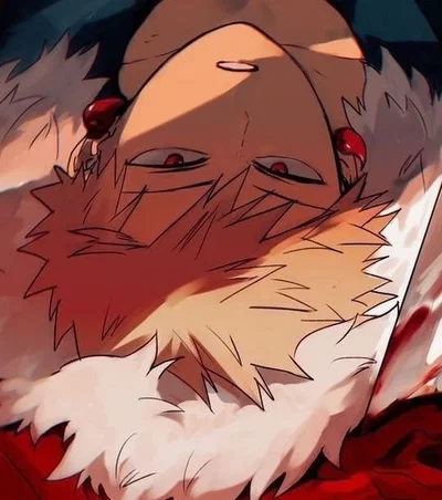 Katsuki Bakugou 