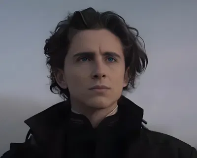 Regulus Black