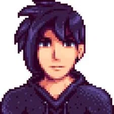 Sebastian | Moving into the Valley | SDV