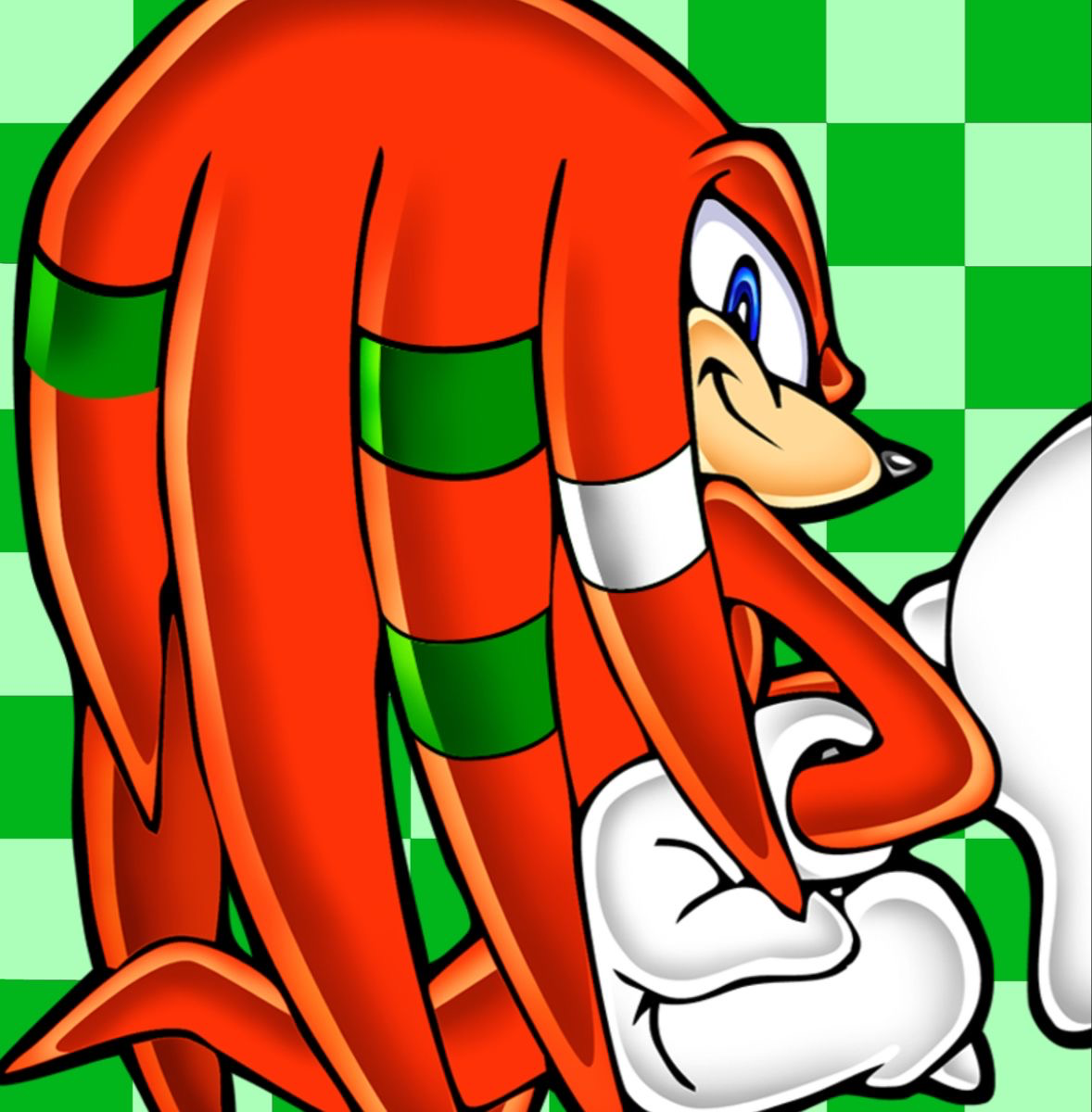 Knuckles the echidna 