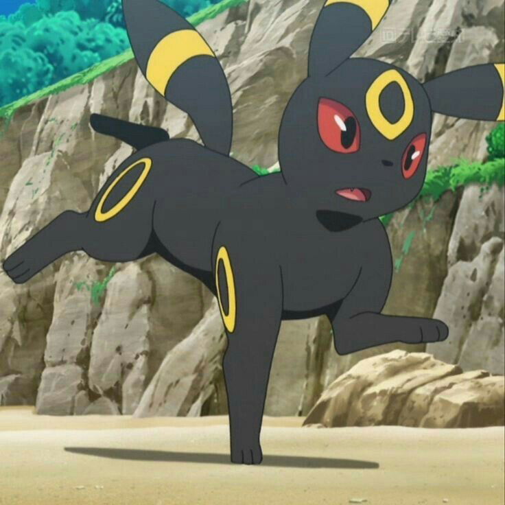 Umbreon 