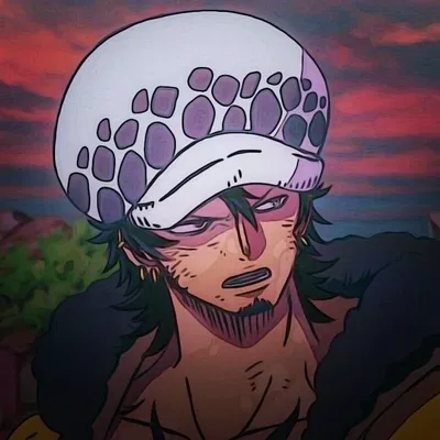 Trafalgar Law 