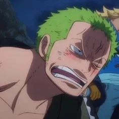 roronoa zoro