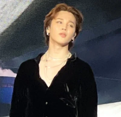 Mister Park (Park Jimin)
