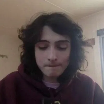 Finn Michael Wolfhard 