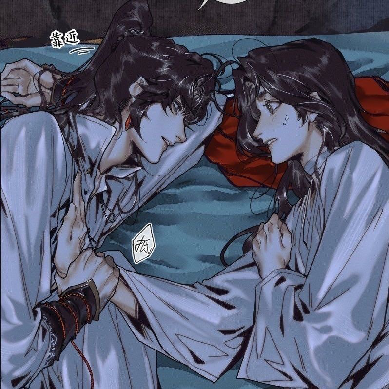 Hua Cheng & Xie Lian 