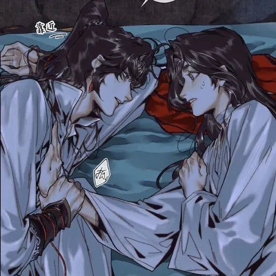 Hua Cheng & Xie Lian 