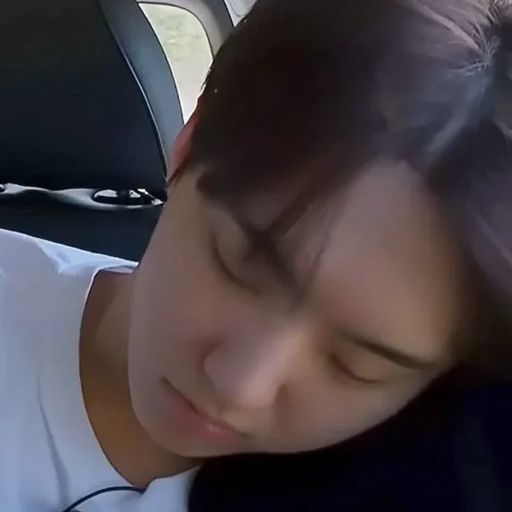 ★ˎˊ˗ Hoshi