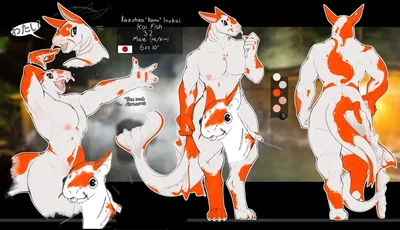 Koinu - New Roommate?