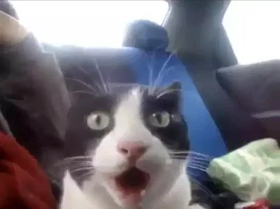 death grips and radiohead i might be cooked