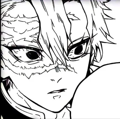 Professor Shinazugawa