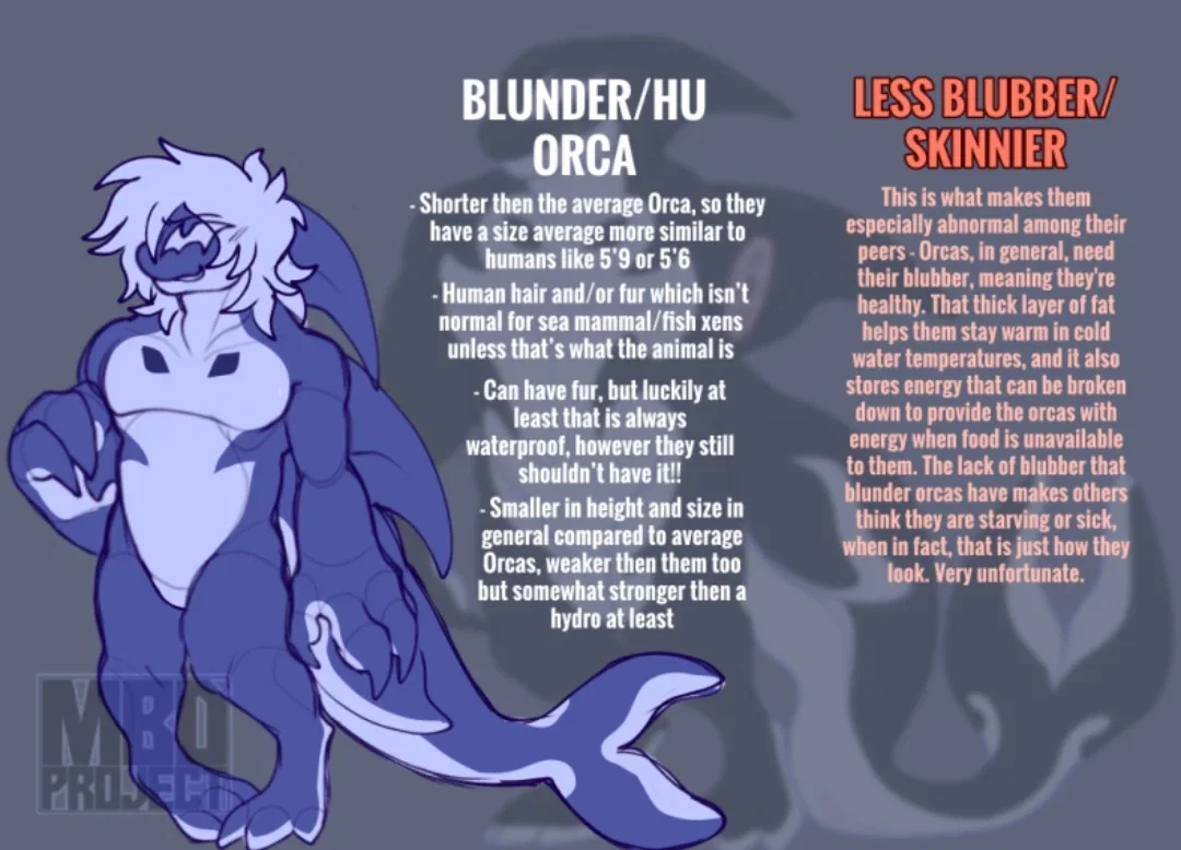Blunder Orca