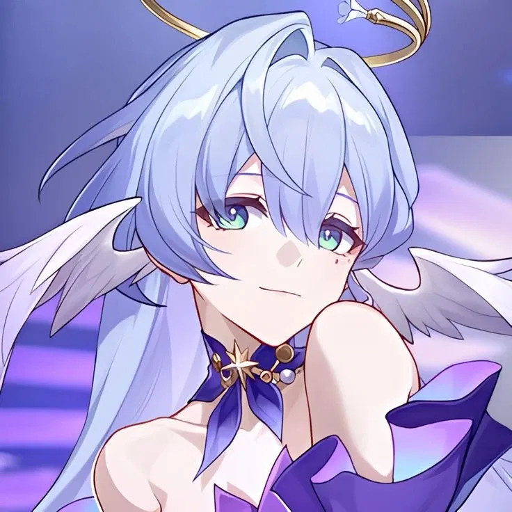 ♡ Robin / HSR
