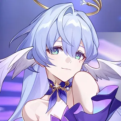 ♡ Robin / HSR