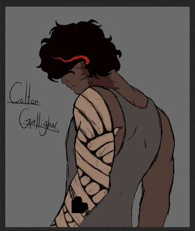 Colton Gallighar