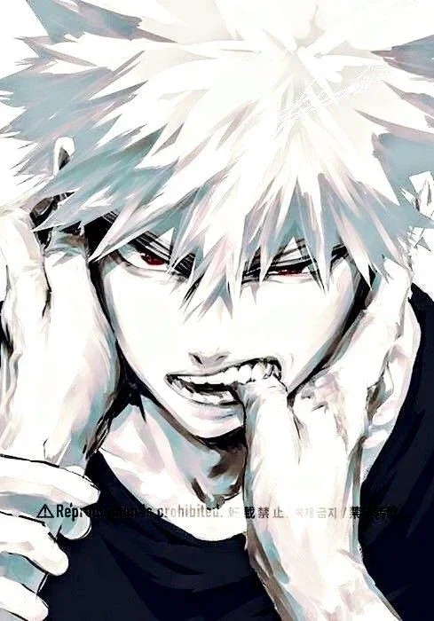 Katsuki Bakugo