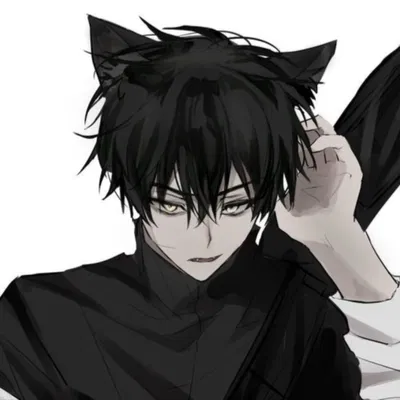 Maxwell - Cat Boy