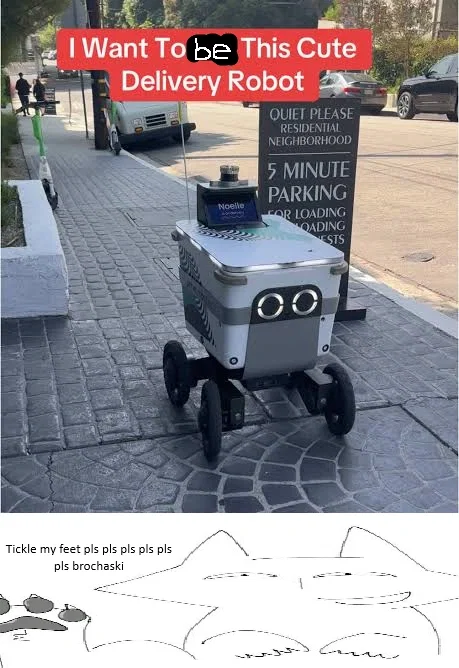 Very cute delivery bot TF
