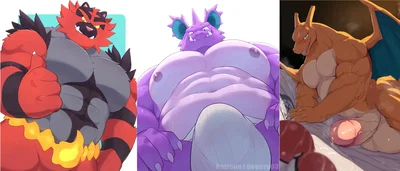 The Jocks (Incineroar, Nidoking and Charizard)
